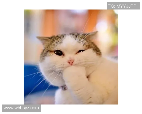 足球明星憋笑瞬间大集合让你忍俊不禁的搞笑表情包分享